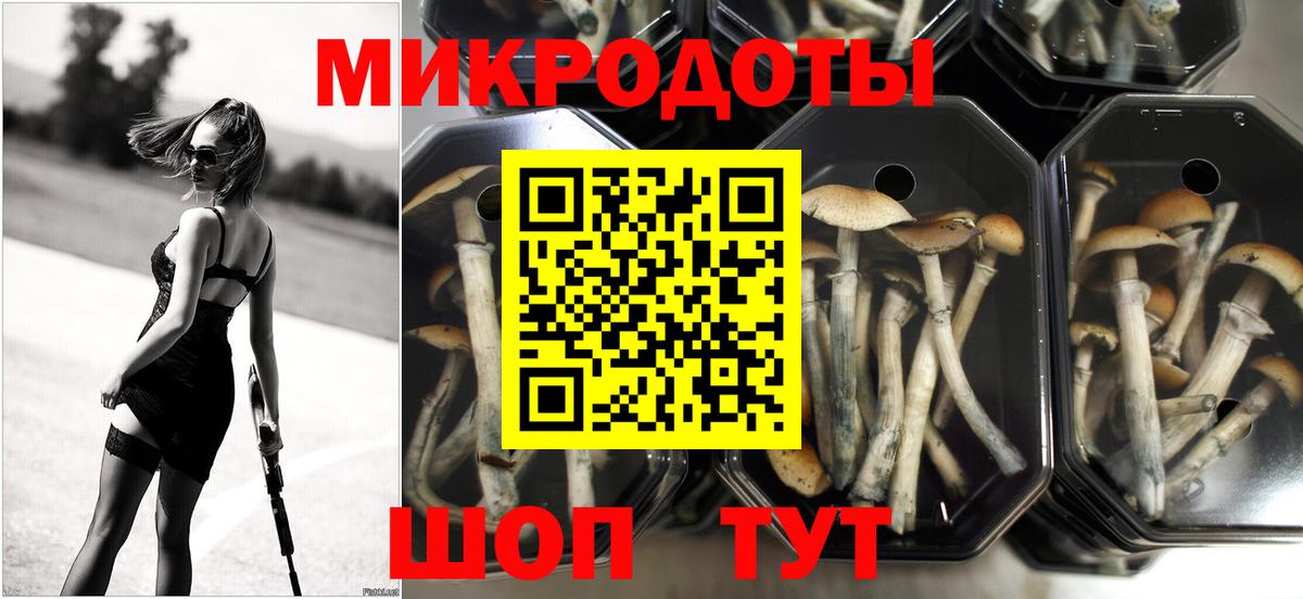 Галлюциногенные грибы мухоморы  Псилоцибиновые грибы Psilocybe  Обнинск  Вход с VPN 